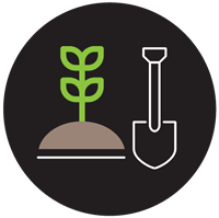 Soil Sampling & Analysis